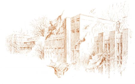 imaginea-CNAOB imaginea-CNAOB